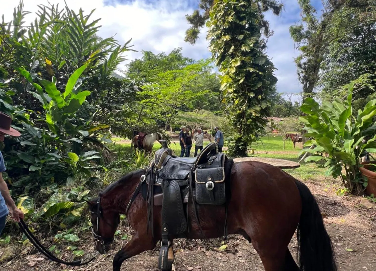 Hacienda Villa Sotomayor Adjuntas Porto Rico